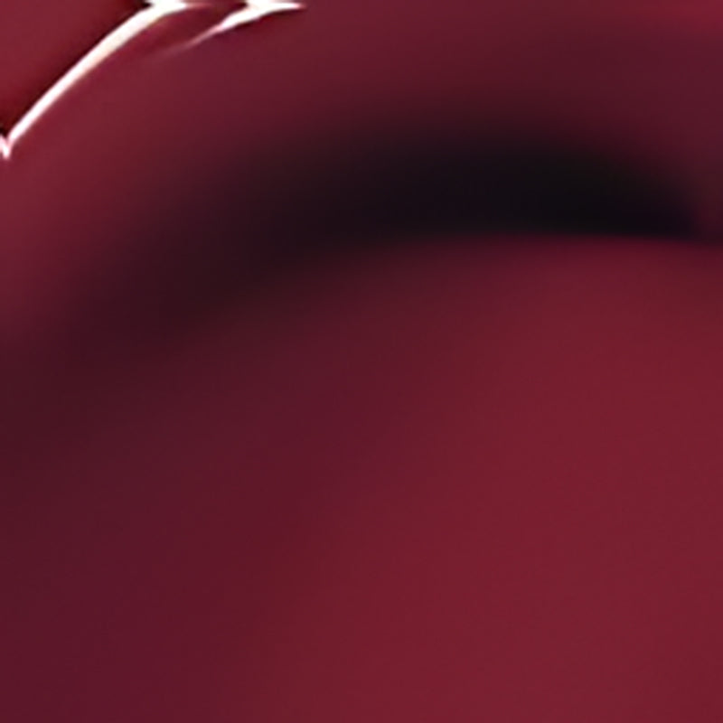 Perfect Twin Lip Dual-Ended Liquid Lipstick with Velvet Matte Color and Glossy Shine