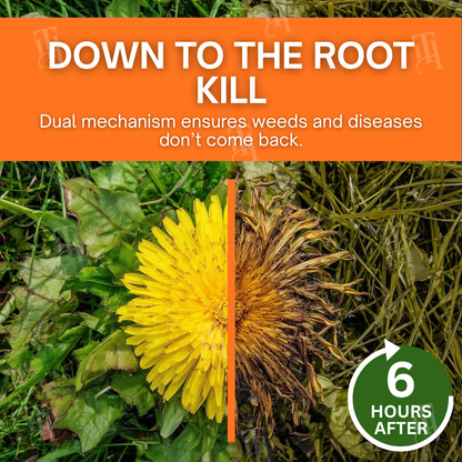 Up To 70% OFF 🌟| VEILOSM™ 2-in-1 Max Power Herbicide