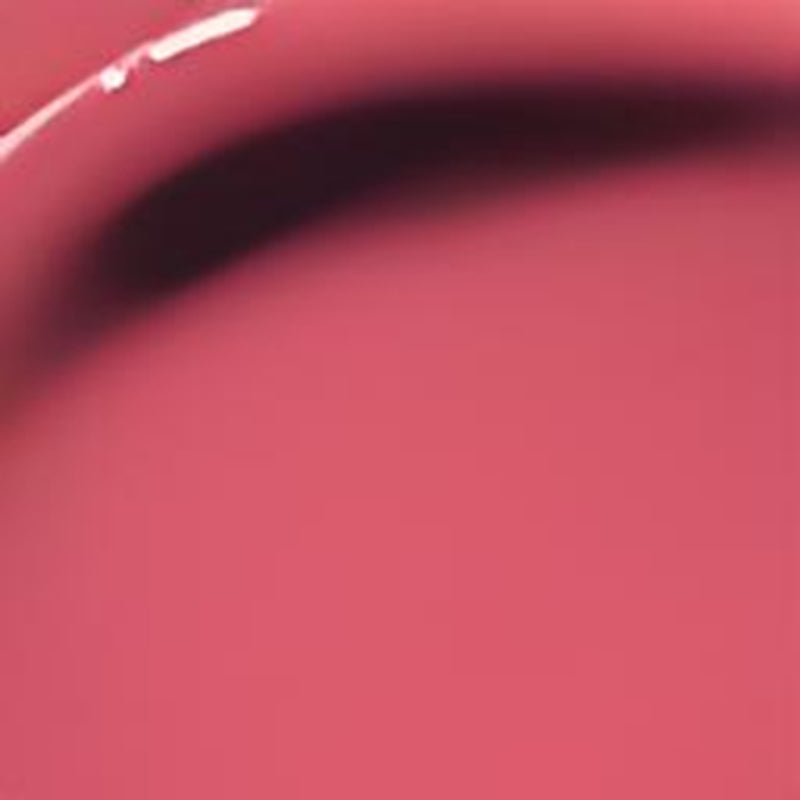 Perfect Twin Lip Dual-Ended Liquid Lipstick with Velvet Matte Color and Glossy Shine