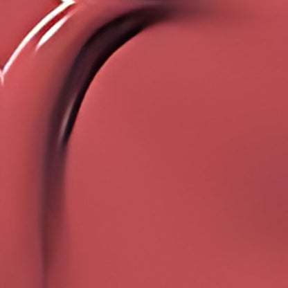 Perfect Twin Lip Dual-Ended Liquid Lipstick with Velvet Matte Color and Glossy Shine