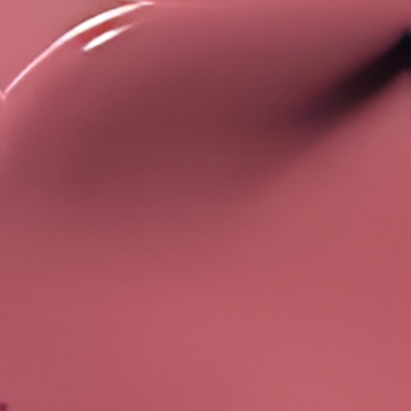 Perfect Twin Lip Dual-Ended Liquid Lipstick with Velvet Matte Color and Glossy Shine
